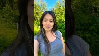Exploring the Beauty of Alaska: A Serene Day in My Mother's Garden #shorts #garden #alaska #summer
