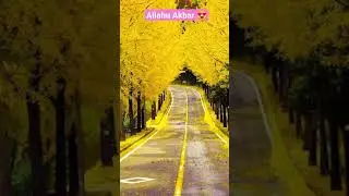 Video from (insta) 💚 nature💚 #islamicwhatsappstatus #islamicstatus #islamic09 #islamic #nature