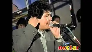 Vuelve - Grupo Nectar | en vivo