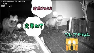 今週の訪問者（2025.01.06〜01.08）