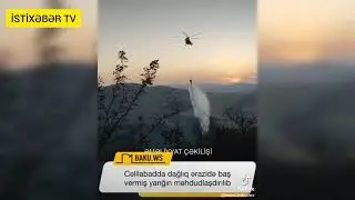 CƏLİLABADIN ZOPUN KƏNDİNDƏ MƏŞƏ YANĞINI HADİSƏSİ BAŞ VERİB