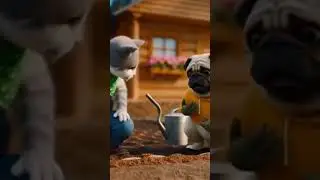 кот и мопс