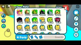 Fuse Rb Stacked dog and Rb Stacked Cat And Vampire bat [Roblox] Pet Simulator X