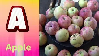 ABC Phonics Song | Alphabet letter sounds | ABC learning for toddlers | Education ABC Nursery Rhymes