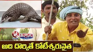 Teenmaar Sadanna Searching For Alugu Animal | Funny Conversation With Radha | V6 News