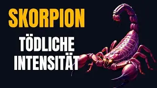 Skorpion – Warnung Diese Leidenschaft zerstört dein Ego
