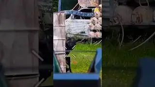 🤬 Airsoft Cheater! #osked #airsoft #illinois