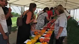 Do světa osiv na jih Moravy