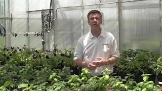 Greenhouse Operations to Simulate Any Climate