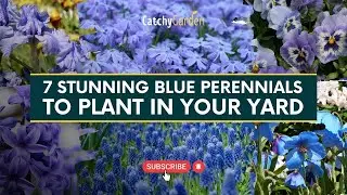 7 Stunning Blue Perennials to Plant in Your Yard ☘️🌿 // Gardening Tips