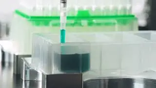 Trilobio Single-Channel Pipette