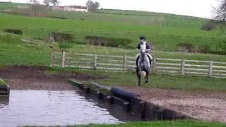 naughty horse