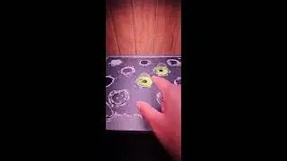 #microdwarf2526 Intro  &mdash; #wig2025  Indoor Hydroponics Update🌱 Day 5 Germination