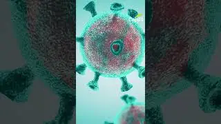 متحور جديد من كورونا ينتشر عالميا..هل نعود إلى نقطة الصفر؟