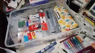 VLOG #915 Stationery storage box #stationeryaddict #stationerylover #trending #shoppingaddict 