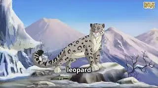 Wild Wonders of India!
