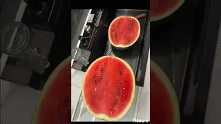 Watermelon | Past&egrave;que | Wassermelone | Арбуз | 西瓜 (Xīguā) | スイカ (Suika) | Karpuz | بطيخ (Batikh) 🍉