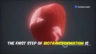Unlocking the secrets of your Liver : The Science of Biotransformation