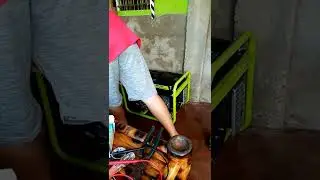 Testing of daiden 3800 gasoline generator