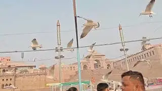 Assi Ghat ❤️||Varanasi Ghat||#viral #video #trading #varansighat #vlog #like #coment #suscribe #omg 