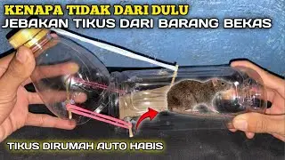 KENAPA TIDAK DARI DULU‼️cara membuat jebakan tikus