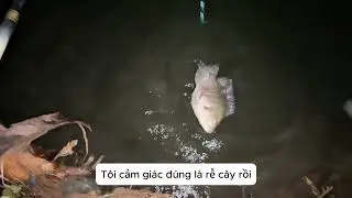 Phần 2 Sinh tồn - Câu  - Ăn - Nấu tại chỗ tại vùng sông Hoàng Hà rộng lớn #fishing  #cauca #sinhton