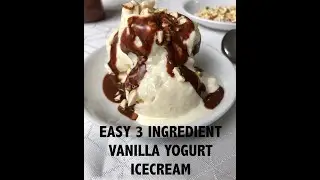 Vanilla Yogurt Icecream Recipe | Easy 3 Ingredient Icecream