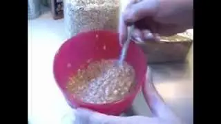 Homemade Instant Oatmeal.