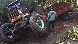 Fiat Tractor Struggles on Steep Terrain &ndash; Extreme Logging Challenge! 🚜🌲