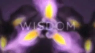 Elixir Trailer