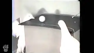 BF Skinner -  Pigeon Ping Pong - 4K HD