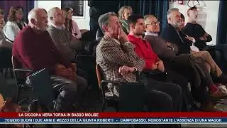 La cicogna nera torna in basso Molise TG NEWS MOLISE DEL 17-11-25 - TRSP -