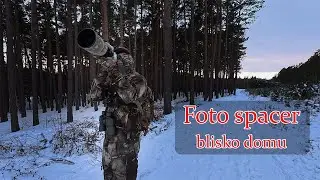 Odwiedzam las koło domu po latach / Sony A7 IV / Sony 200-600