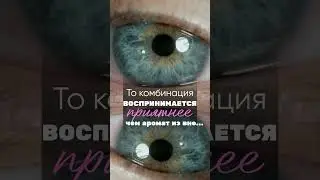 Как выбрать идеальный парфюм для себя?