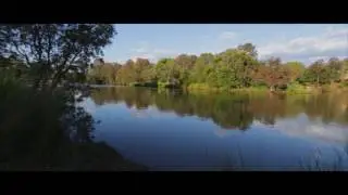 Waterbird Habitat Toowoomba