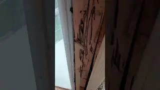 Easy termite damage fix by Hammer Ready Construction.