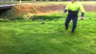 Duck Attacks Man Video