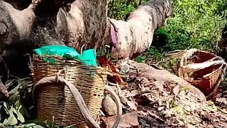 ABISA GAME KAlENGA.. Iarangde.freeff....