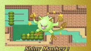 ☆ Ferosinge shiny / shiny Mankey after 1861 Re's ☆