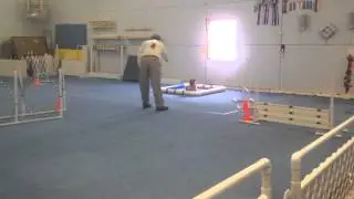 Darin and Chinese Shar-Pei Really running UKC Agility level 3 Trial 1, March 2, 2014