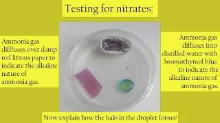 Testing for nitrates