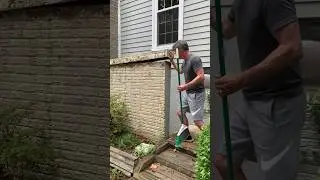 Catching a snake&hellip; leave it to the professionals #comedian #standupcomedy #comedy