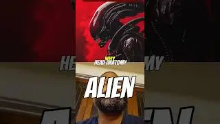 #alien #xenomorph #alienspecies #ridleyscott #alienmonster #aliencreature #aliencreature #scifi