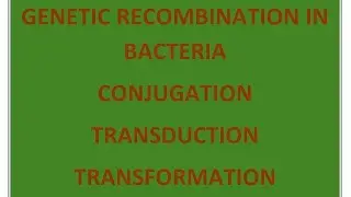 Genetic recombination in bacteria, conjugation, transformation and transduction/BSc botany