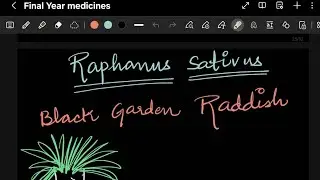 Raphanus sativus ( FINAL YEAR MEDICINE)