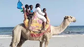 Playtime #adventure #amimals #camelriding #africa #kids