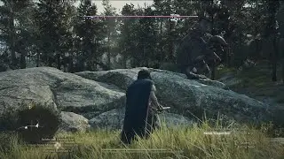 Dragon's Dogma 2 - Portcrystal / E19