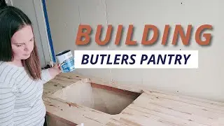Building a Custom Sink Cabinet | Butler's Pantry Progress | VLOG