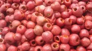 Date Pitting Machine, Fruit Coring and Pitting Machine|Automatic Date Pitting Machine