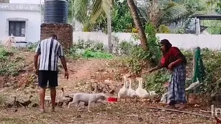 ഇവരെ എനിക്ക് പേടിയാ 